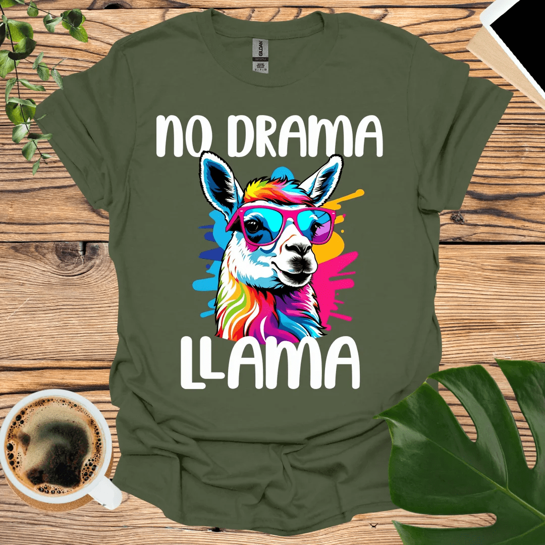 Cool and Colorful No Drama Llama T-Shirt